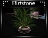 ~Amazing Planter 5