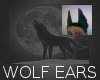 Grey Black Wolf Ears