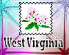 West Virginia Flower