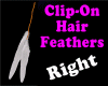 Clip on Feathers Right