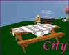 (C75) Picnic table