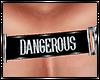 Dangerous Harness