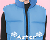 ★ Snow Vests Blue
