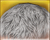 Lray Grey Hair