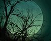 Aurora Moon