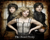 PD~The Band Perry poster