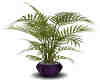 Purple Potted Plant 2