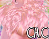 [C.A.C] Prela Sh. Tufts