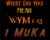 What Do You Mean
