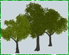 Three Trees
