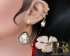 B❀|Gold 💎  Earrings