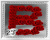 ~2T~ B Letter Red Rose
