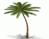 G~ Animated Palm Tree ~