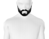 NM beard 