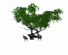 Picnic table/tree mesh