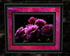 P~ Pink roses picture