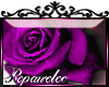 *R* Purple Rose Sticker