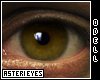 [ODELL] Asteri Eyes #006