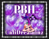 PBH Purple Heart bub *
