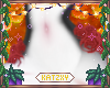 ꨄSparta Roses 27ꨄ