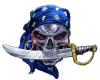 pirate, sword