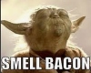 smelly bacon farts