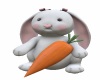 *M* Bunny