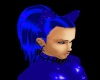 Blue Cat Collar