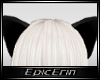 [E]*Black Kitty Ears*