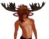 [LULU] Moose boy antlers