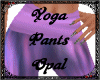 Yoga Pants Opal