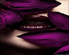 Purple Petal Lips
