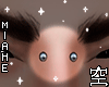 空 - Piercing Bridge