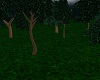 Forest Trees V1