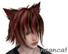 +brown red cat M