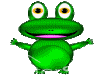 SM Froggy Flash Sticker
