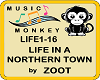Life in A Northern Town