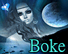 eBokeeBotas C0untry