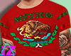 TRASHENERIL MEXICO