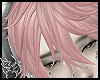 5C DISORDERED CHAOS PNK