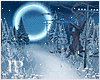Winter Snowy Path Moon