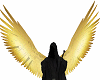 Gold Angle Wings M/F