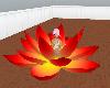 Lotus meditation8