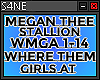 MEGANTHEESTALLION-WHERE