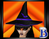 Witch Hat Purple
