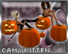 ~CK~ Pumpkin Chat Patch
