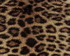 leopard background 3