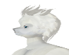 white wolf M hair
