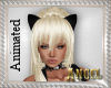 [AIB]My Kitty Ears
