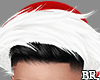 Santa Claus Red
